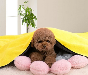 Dog Heaven™ Quick Dry Towel